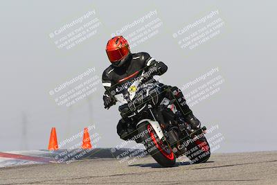 media/Feb-10-2023-TrackDaz (Fri) [[827c11d241]]/C Group/1245pm (Outside Grapevine)/
